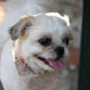 Meet your Posher, Bency